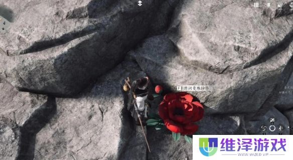 《燕云十六声》花中愿任务完成攻略分享