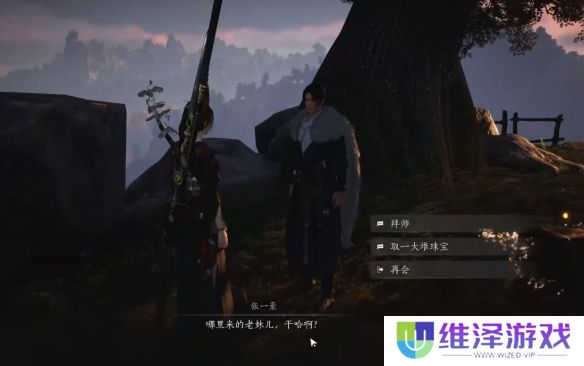 《燕云十六声》天泉大师兄位置介绍