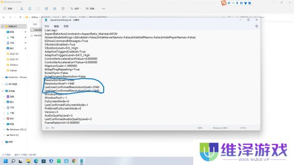 《人间地狱》全屏模式画面模糊解决方法