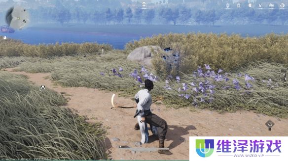 《燕云十六声》曲径寻幽全收集攻略