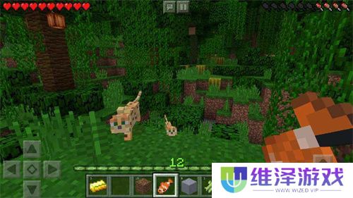 我的世界1.16