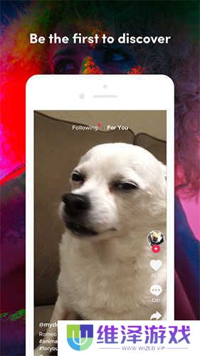 TikTok色板1.2.31