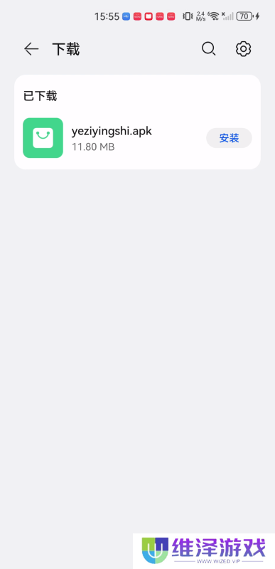 叶子影视