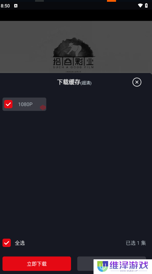 网飞猫
