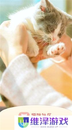 猫咪社区gps