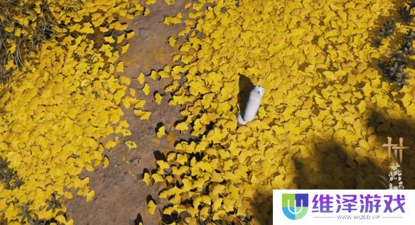 《燕云十六声》CPU显卡要求一览