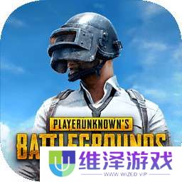 pubg绝地求生 2025最新版 v2.4.0