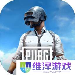 PUBG 2025国际服最新安装入口 v2.4.0