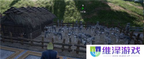 把家变成动物园？《帝国神话》国服驯养动物