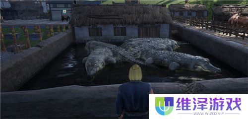 把家变成动物园？《帝国神话》国服驯养动物