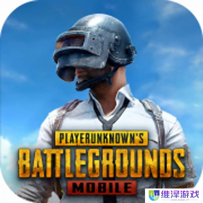 地铁逃生pubg国际服 2024最新下载安装 v2.4.0