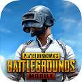 pubg 国际服手游下载正版 v2.4.0