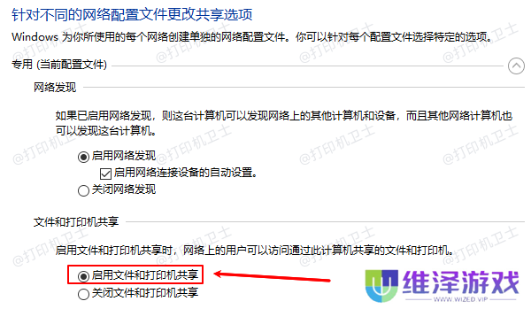 启用文件和打印机共享