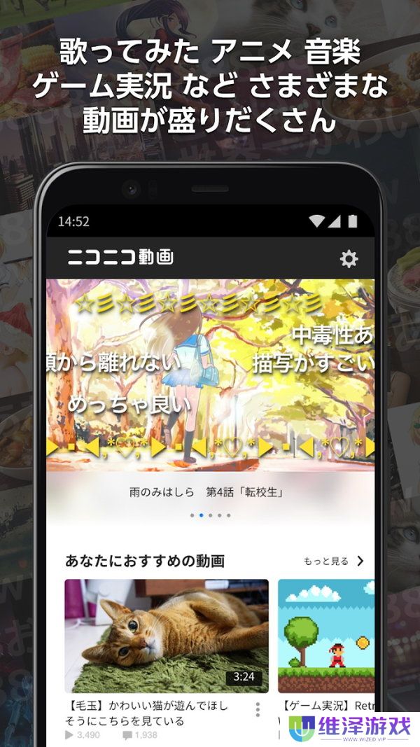 n站
