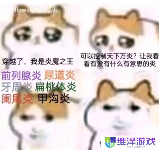 本站