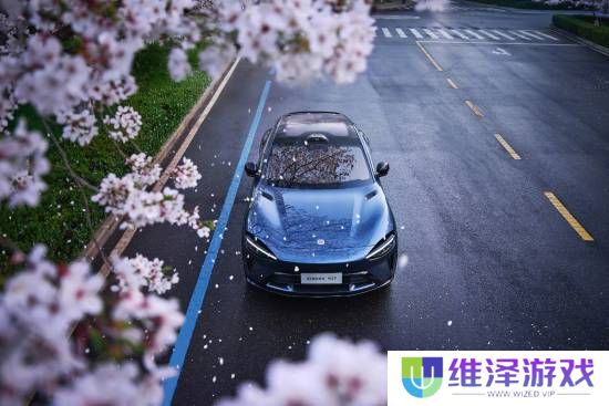本站